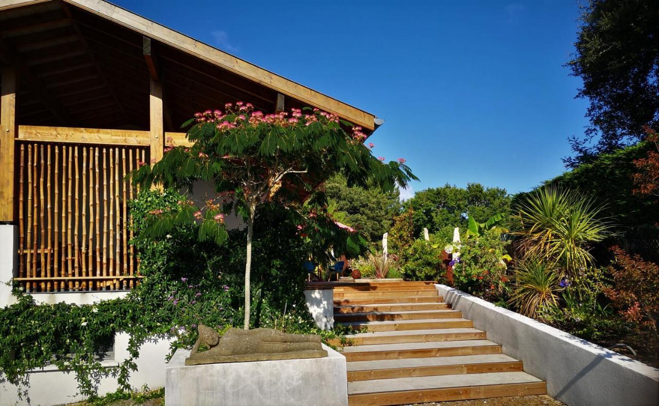 Villa Hossegor - 4 Etoiles, 6 Chambres - 5 Salles De Bains - Piscine Chauffee 5 Mn Des Plages Soorts-Hossegor Dış mekan fotoğraf